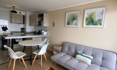 Arriendo Departamento 1 doritorio a pasos del centro y palza de armas de Chillán  de 1 dormitorio 1 baño cocina full euipada