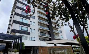 Departamento en Renta en Nivel Diez $3,500 Dlls por mes AMUEBLADO Y EQUIPADO
