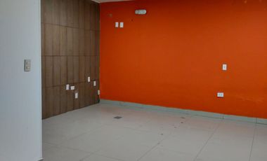 SE RENTA OFICINAS CON BODEGA EN ESQUINA!!! 📍Col Ganadera