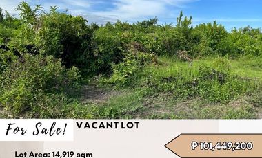 Lot for sale in Benigno S. Aquino Avenue, San Roque, Baliwag, Bulacan