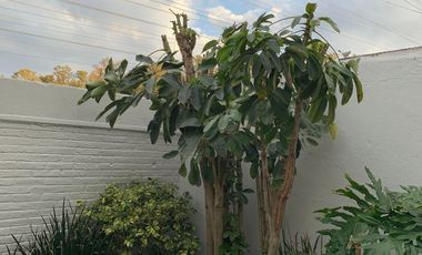 Casa en renta o venta en  Izcalli del Bosque Naucalpan de Júarez