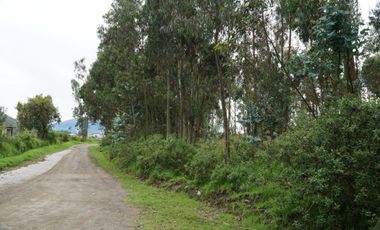 Vendo terreno de 90.000M2 en Cayambe, sector Guachalá, parroquia Cangahua