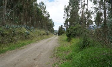 Vendo terreno de 90.000M2 en Cayambe, sector Guachalá, parroquia Cangahua