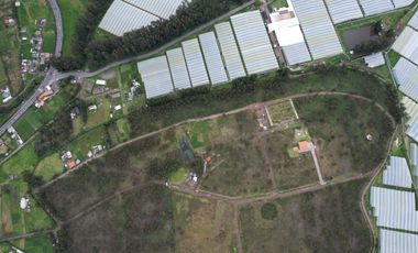 Vendo terreno de 90.000M2 en Cayambe, sector Guachalá, parroquia Cangahua