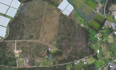 Vendo terreno de 90.000M2 en Cayambe, sector Guachalá, parroquia Cangahua