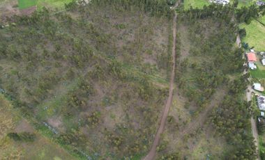 Vendo terreno de 90.000M2 en Cayambe, sector Guachalá, parroquia Cangahua