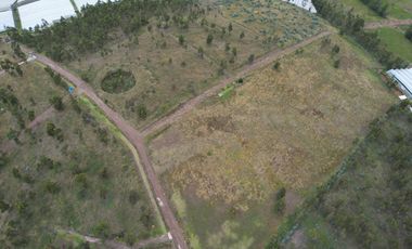Vendo terreno de 90.000M2 en Cayambe, sector Guachalá, parroquia Cangahua