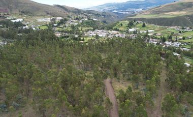 Vendo terreno de 90.000M2 en Cayambe, sector Guachalá, parroquia Cangahua