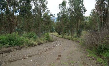 Vendo terreno de 90.000M2 en Cayambe, sector Guachalá, parroquia Cangahua