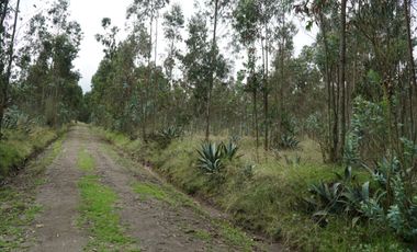 Vendo terreno de 90.000M2 en Cayambe, sector Guachalá, parroquia Cangahua