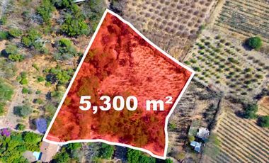 TERRENO DE OPORTUNIDAD EN AMACUECA, JALISCO. 5300 M² CON HUERTA DE PITAYAS