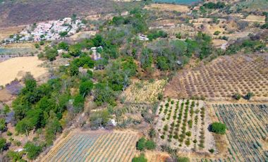 TERRENO DE OPORTUNIDAD EN AMACUECA, JALISCO. 5300 M² CON HUERTA DE PITAYAS