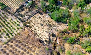 TERRENO DE OPORTUNIDAD EN AMACUECA, JALISCO. 5300 M² CON HUERTA DE PITAYAS