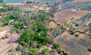 TERRENO DE OPORTUNIDAD EN AMACUECA, JALISCO. 5300 M² CON HUERTA DE PITAYAS