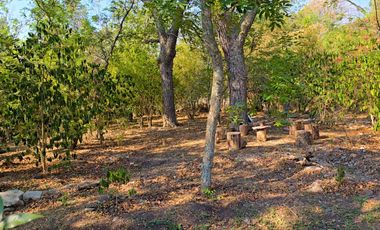 TERRENO DE OPORTUNIDAD EN AMACUECA, JALISCO. 5300 M² CON HUERTA DE PITAYAS