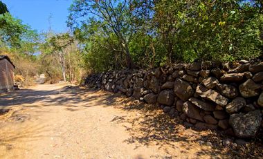 TERRENO DE OPORTUNIDAD EN AMACUECA, JALISCO. 5300 M² CON HUERTA DE PITAYAS