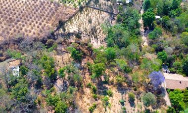 TERRENO DE OPORTUNIDAD EN AMACUECA, JALISCO. 5300 M² CON HUERTA DE PITAYAS
