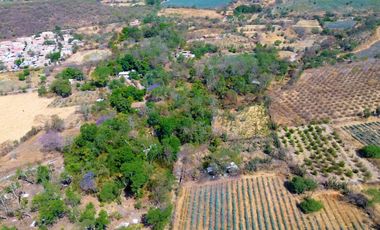 TERRENO DE OPORTUNIDAD EN AMACUECA, JALISCO. 5300 M² CON HUERTA DE PITAYAS