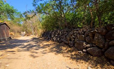 TERRENO DE OPORTUNIDAD EN AMACUECA, JALISCO. 5300 M² CON HUERTA DE PITAYAS