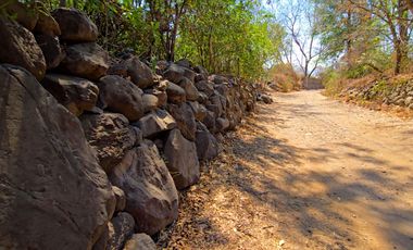 TERRENO DE OPORTUNIDAD EN AMACUECA, JALISCO. 5300 M² CON HUERTA DE PITAYAS