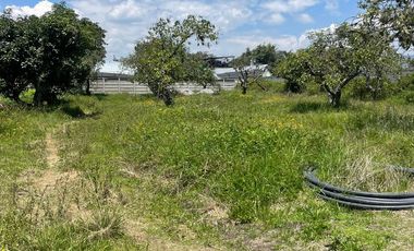 Terreno en Venta San Ana Mangahuantag, Puembo