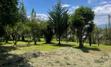 Terreno en Venta San Ana Mangahuantag, Puembo