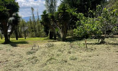 Terreno en Venta San Ana Mangahuantag, Puembo