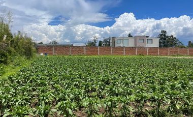 Terreno de Venta en Urbanización Nueva Andalucía, Puembo