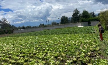 Terreno de Venta en Urbanización Nueva Andalucía, Puembo