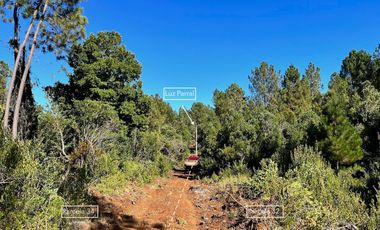 Se venden exclusivas parcelas agrícolas de 5.000 m² en la VII Región del Maule, a solo 30 km de Parral.