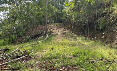 Finca de venta,  (47 Ha,)  en Pedro Vicente Maldonado , Quito , Ecuador