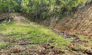 Finca de venta,  (47 Ha,)  en Pedro Vicente Maldonado , Quito , Ecuador