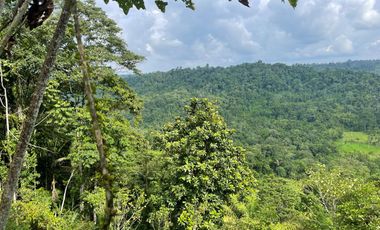 Finca de venta,  (47 Ha,)  en Pedro Vicente Maldonado , Quito , Ecuador