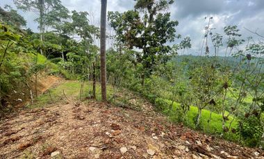 Finca de venta,  (47 Ha,)  en Pedro Vicente Maldonado , Quito , Ecuador