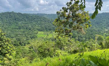 Finca de venta,  (47 Ha,)  en Pedro Vicente Maldonado , Quito , Ecuador