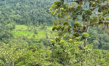 Finca de venta,  (47 Ha,)  en Pedro Vicente Maldonado , Quito , Ecuador