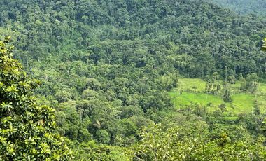 Finca de venta,  (47 Ha,)  en Pedro Vicente Maldonado , Quito , Ecuador