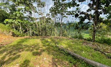 Finca de venta,  (47 Ha,)  en Pedro Vicente Maldonado , Quito , Ecuador