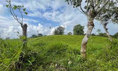 Finca de venta,  (47 Ha,)  en Pedro Vicente Maldonado , Quito , Ecuador