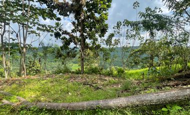 Finca de venta,  (47 Ha,)  en Pedro Vicente Maldonado , Quito , Ecuador