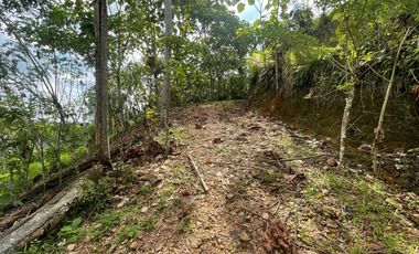 Finca de venta,  (47 Ha,)  en Pedro Vicente Maldonado , Quito , Ecuador