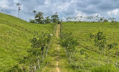 Finca de venta,  (47 Ha,)  en Pedro Vicente Maldonado , Quito , Ecuador