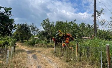 Finca de venta,  (47 Ha,)  en Pedro Vicente Maldonado , Quito , Ecuador