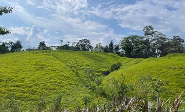Finca de venta,  (47 Ha,)  en Pedro Vicente Maldonado , Quito , Ecuador