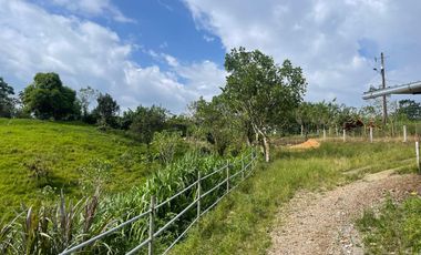 Finca de venta,  (47 Ha,)  en Pedro Vicente Maldonado , Quito , Ecuador