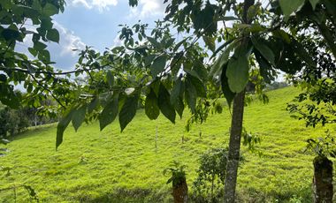 Finca de venta,  (47 Ha,)  en Pedro Vicente Maldonado , Quito , Ecuador