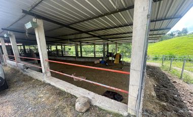 Finca de venta,  (47 Ha,)  en Pedro Vicente Maldonado , Quito , Ecuador