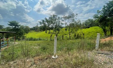 Finca de venta,  (47 Ha,)  en Pedro Vicente Maldonado , Quito , Ecuador