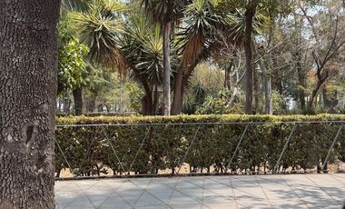 Magnífico terreno frente a parque y con uso de suelo para 7 niveles