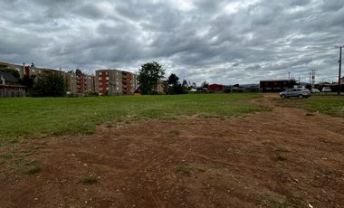 Terreno comercial en venta 5000m2 Luis Durand